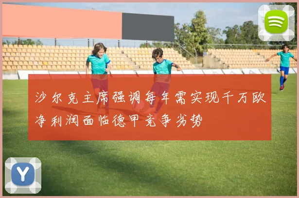 沙尔克主席强调每年需实现千万欧净利润面临德甲竞争劣势